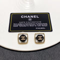 Earrings N42725