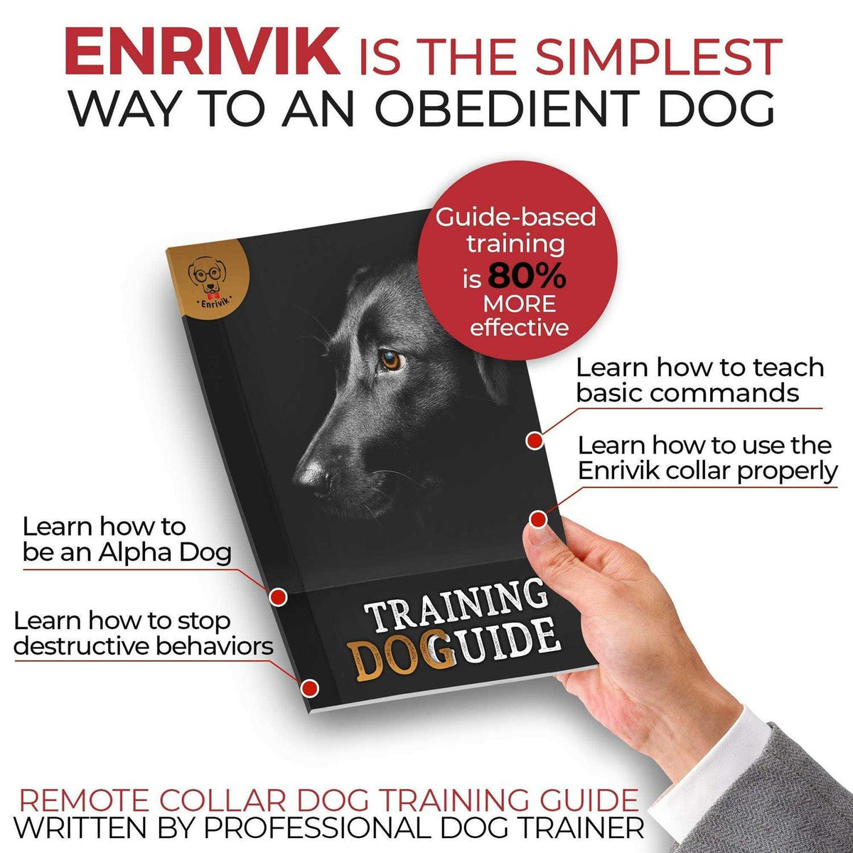 Extra Small Dog Training Collar with Remote R310
