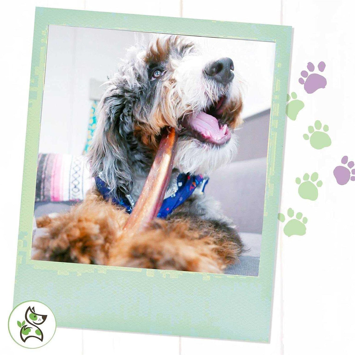 Natural Beef Bully Sticks for Dogs B2361