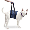 Dog Support Sling L397