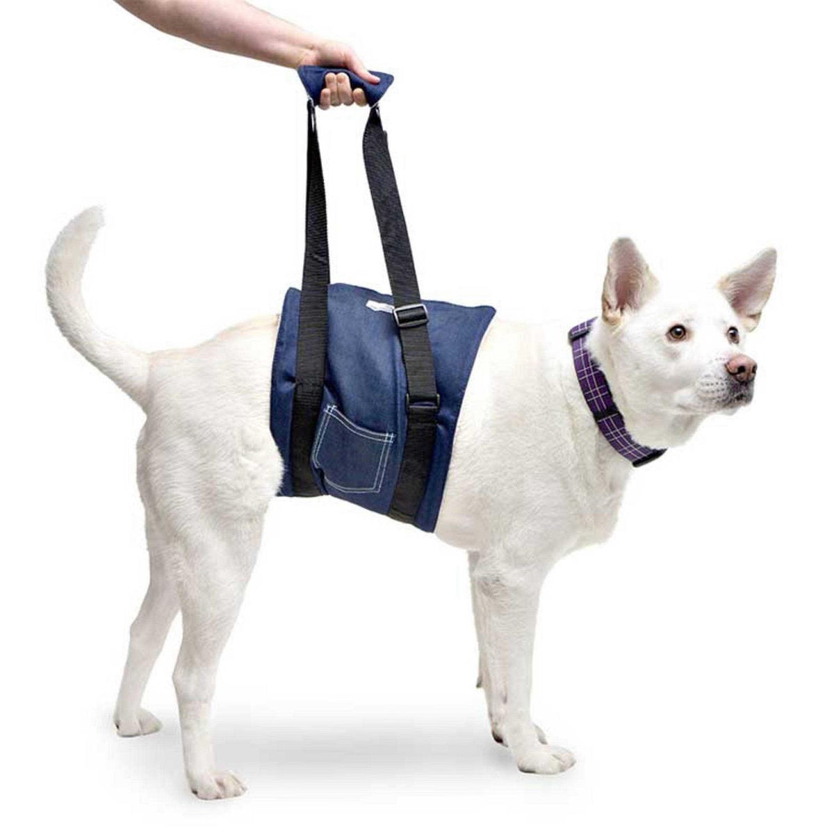 Dog Support Sling L397