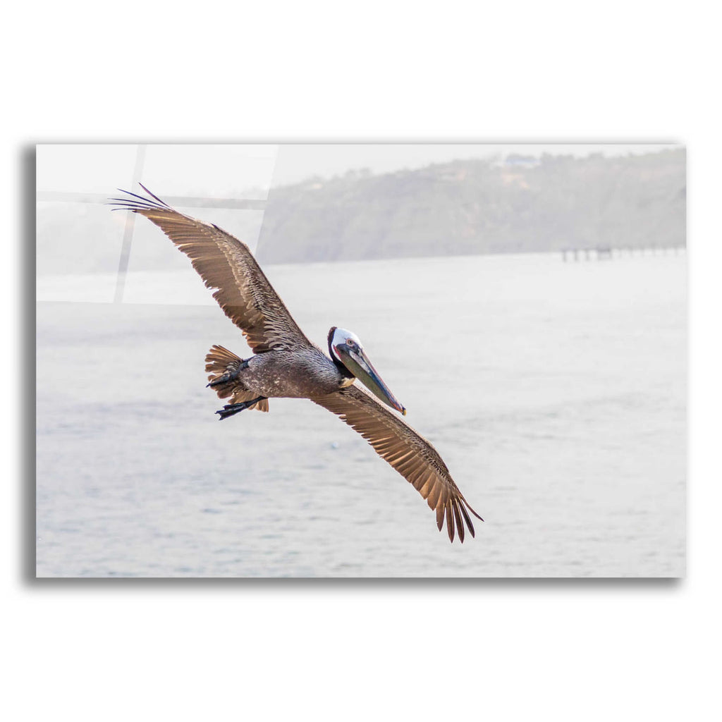 Acrylic Glass Wall Art C10182