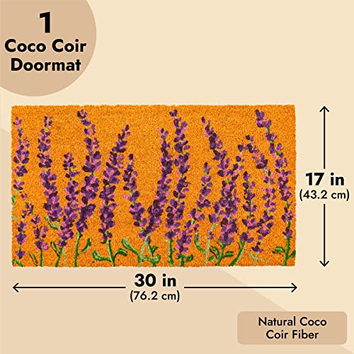 Lavender Coir Door Mat 17x30 inches P11821