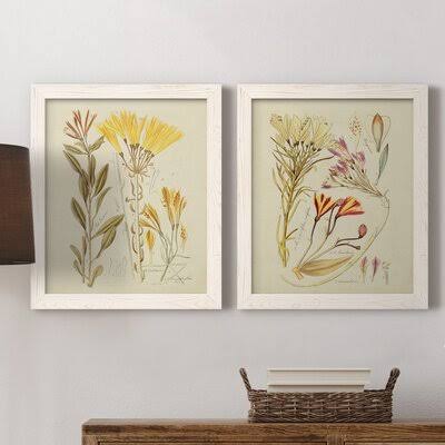 Antique Botanical Sketch Framed Print P28474