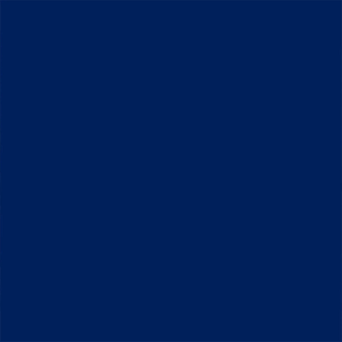 2.5 Thick Foam Pool Lounge Mat X138