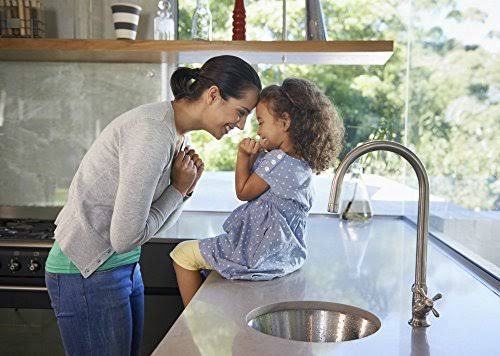 Water Based Stone and Quartz Cleaner and Protector 128oz T32684