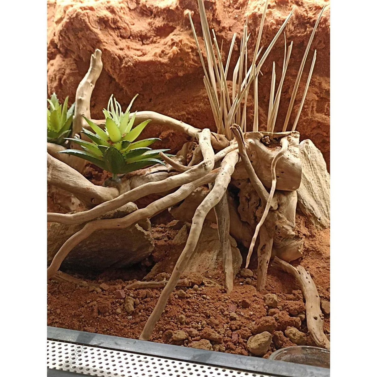 Stone Desert Substrate U415771