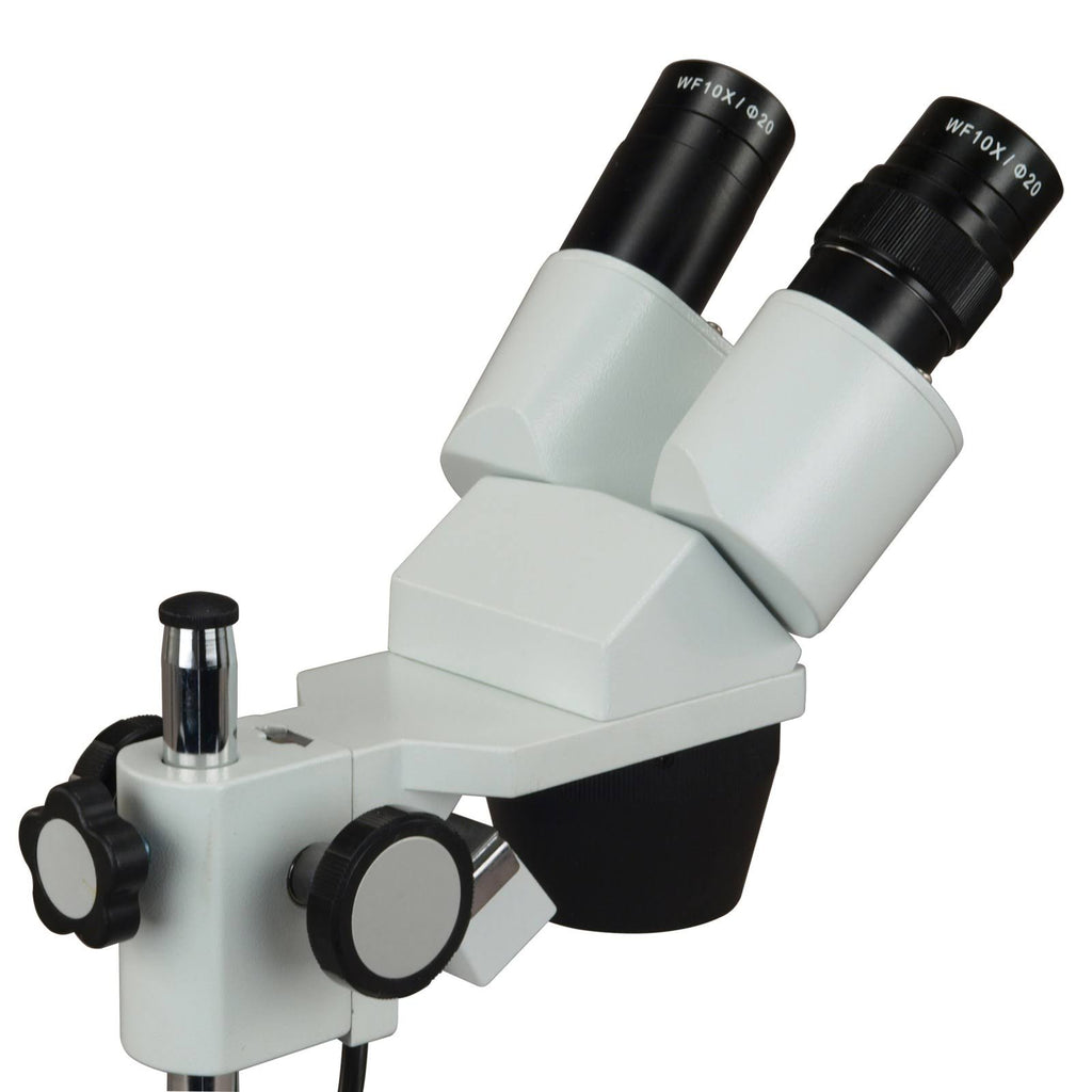 Binocular Stereo Microscope with Dual Lights and 5MP Camera V99329