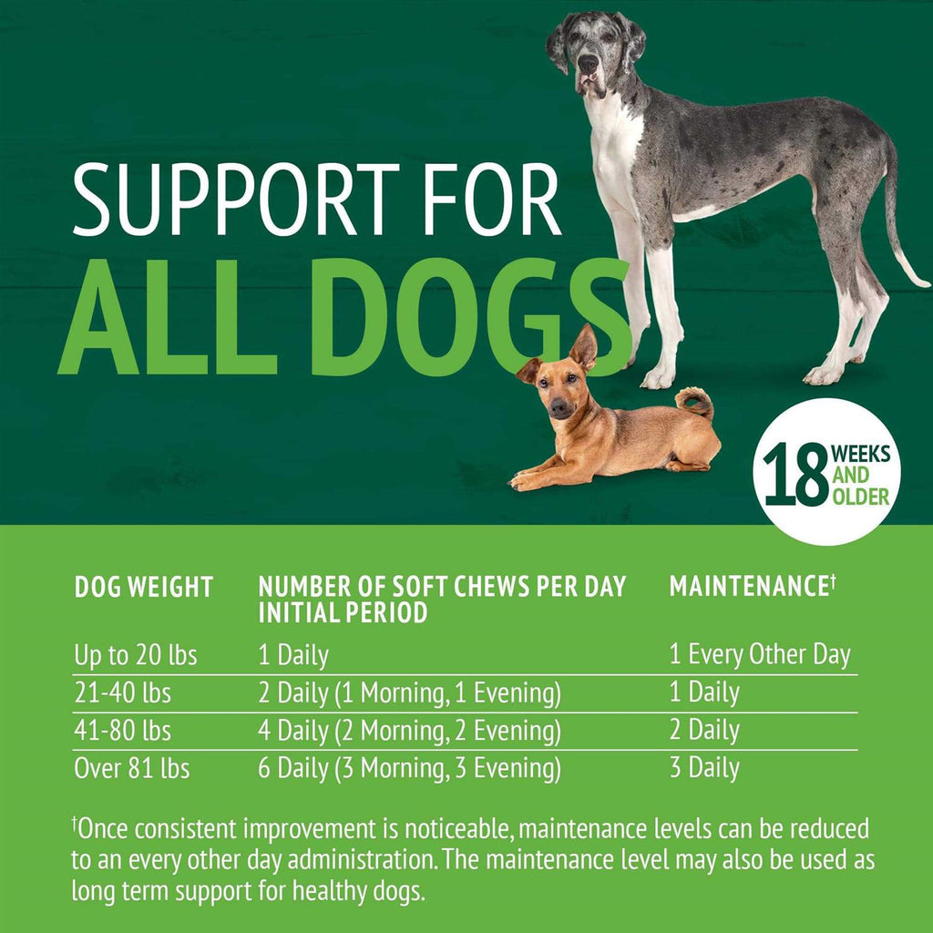 Hip and Joint Soft Chews for Dogs L8960