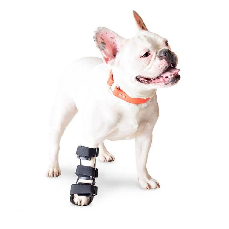 Dog Front Leg Splint with Foam Inserts J456
