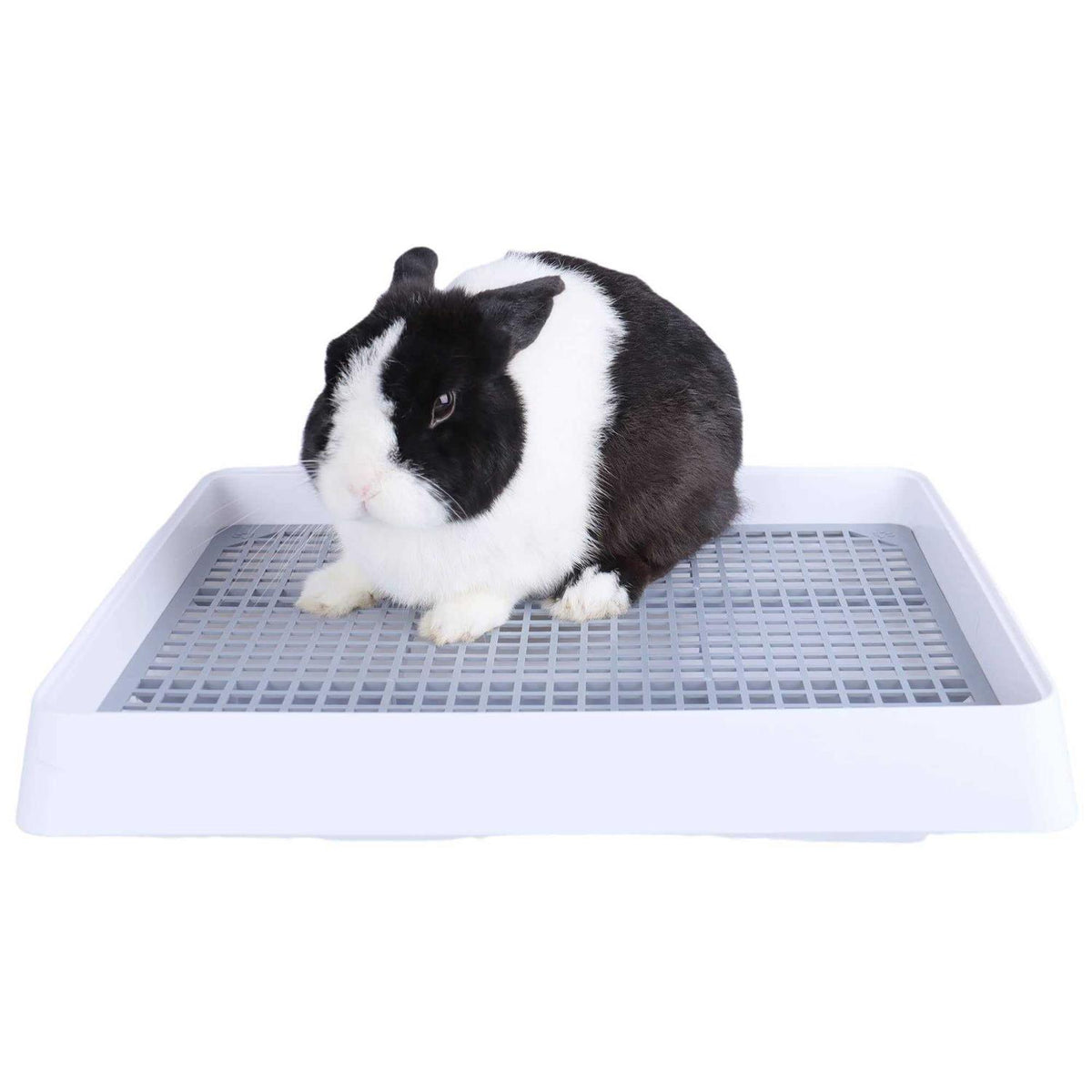 Rabbit Litter Box with Grate Q191