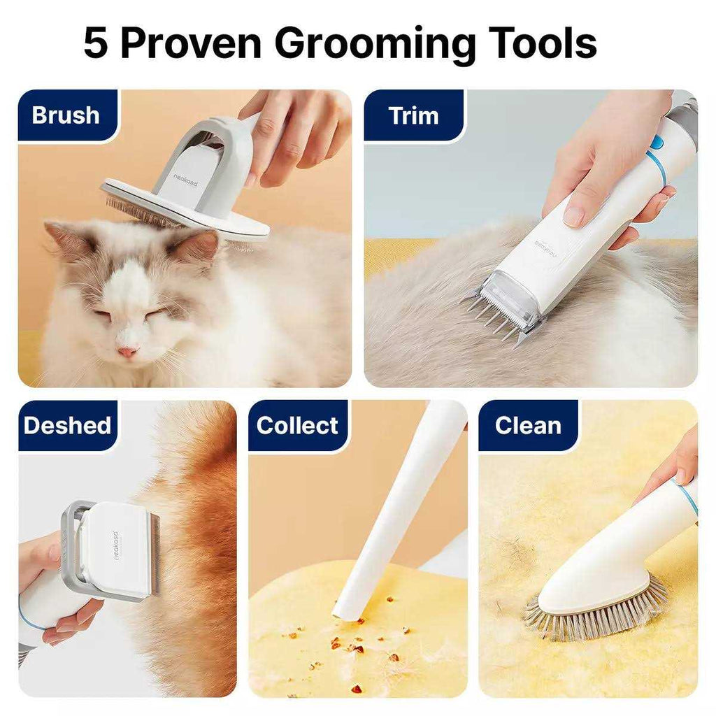 Dog Grooming Kit B1873