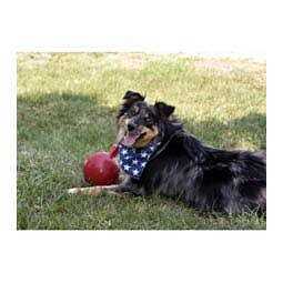 Jolly Ball I72404