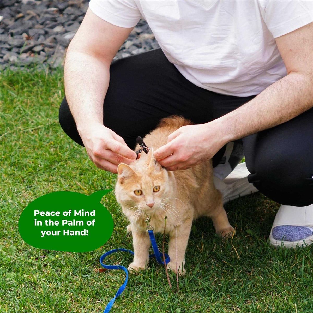 Reflective Breakaway Cat Collar with Tile Sticker Holder and Bell P813