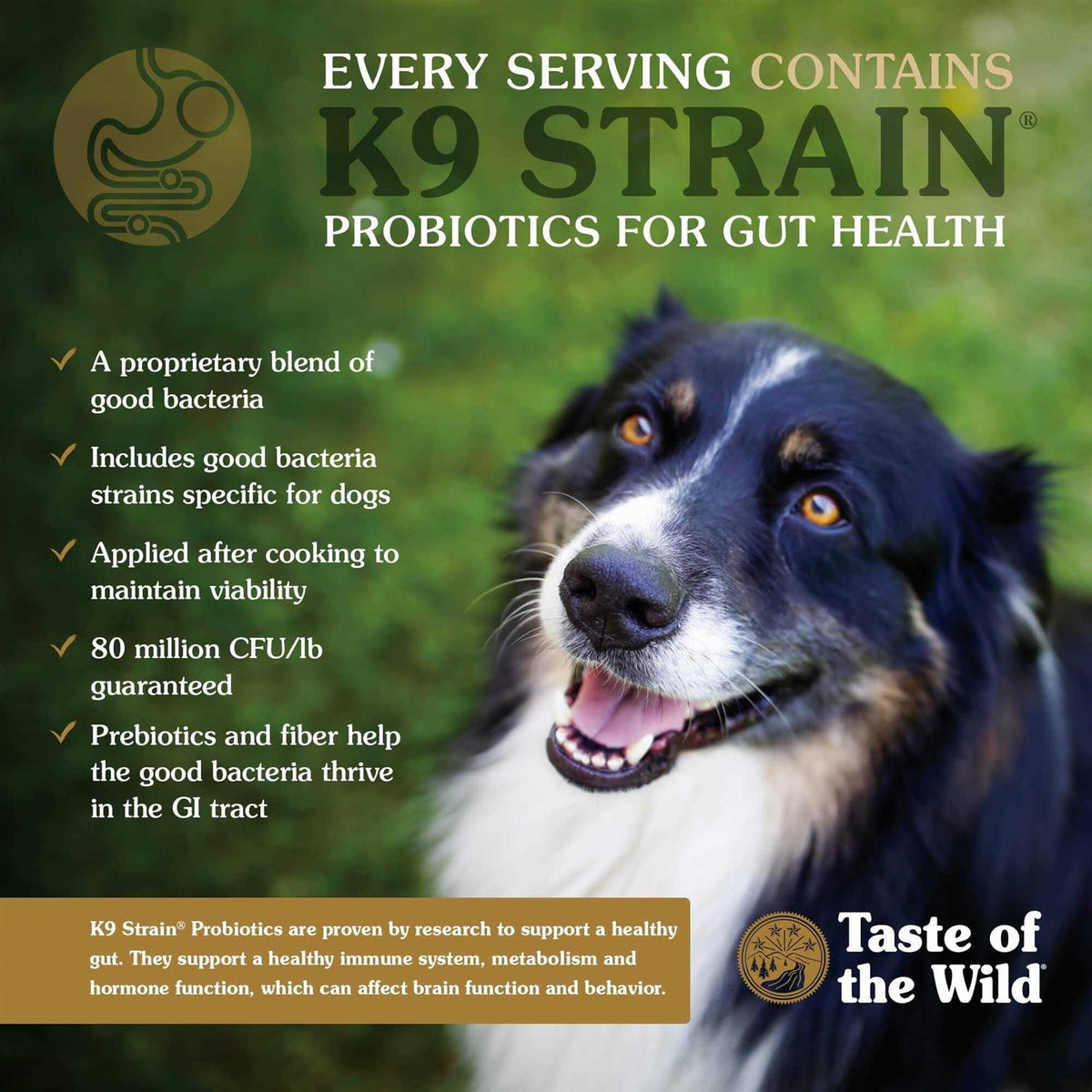 High Prairie Puppy Food K417661