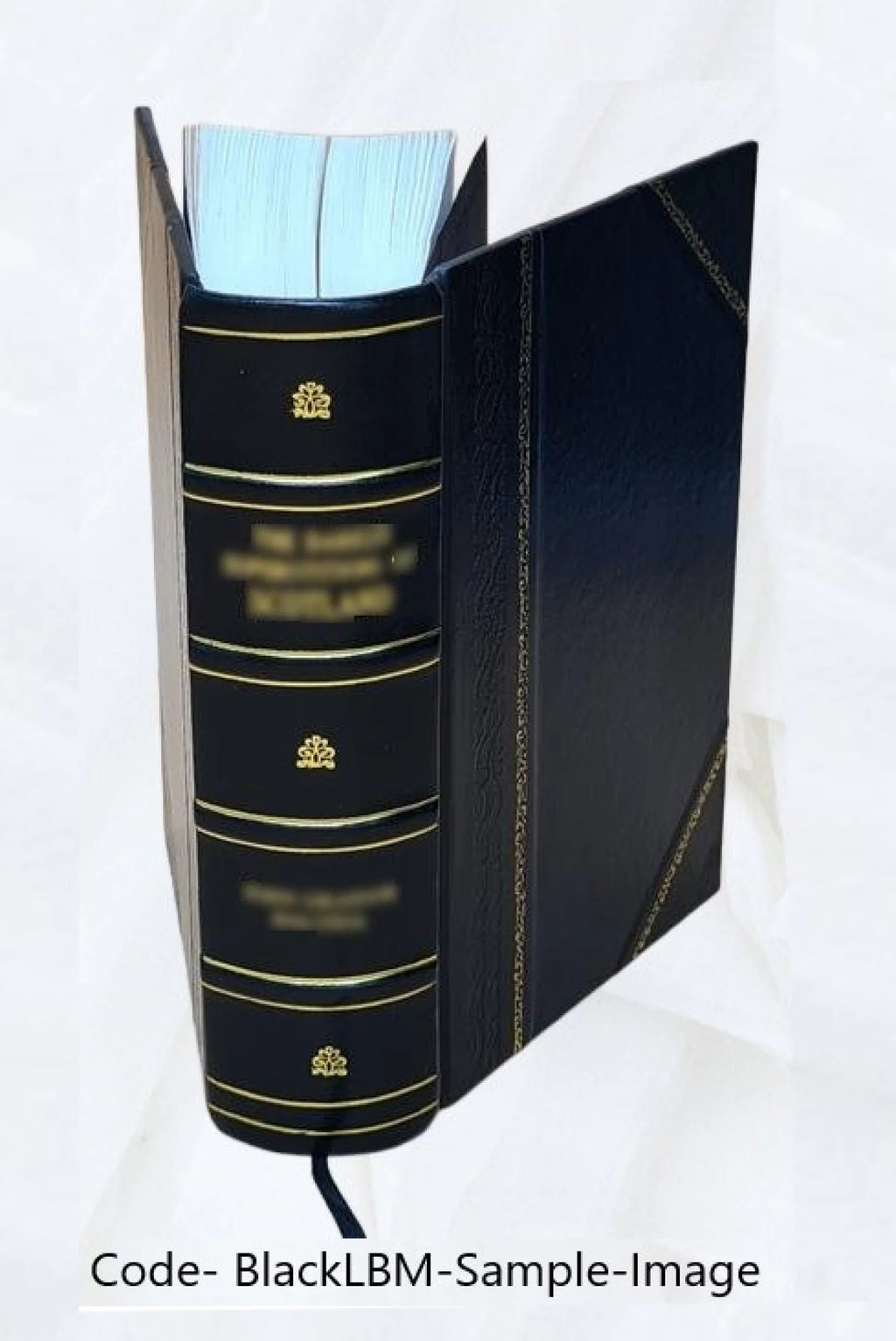 Commentaires sur le prophete Isaïe Leather Bound C783