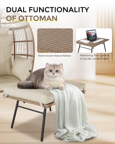 Oversize Wicker Egg Chair with Ottoman J8422
