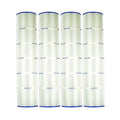 Replacement Cartridge for Pentair Clean and Clear Plus 520 G821