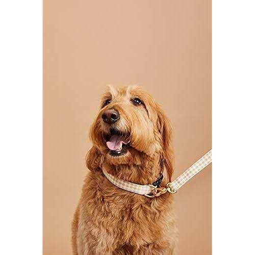 Gingham Dog Collar I306