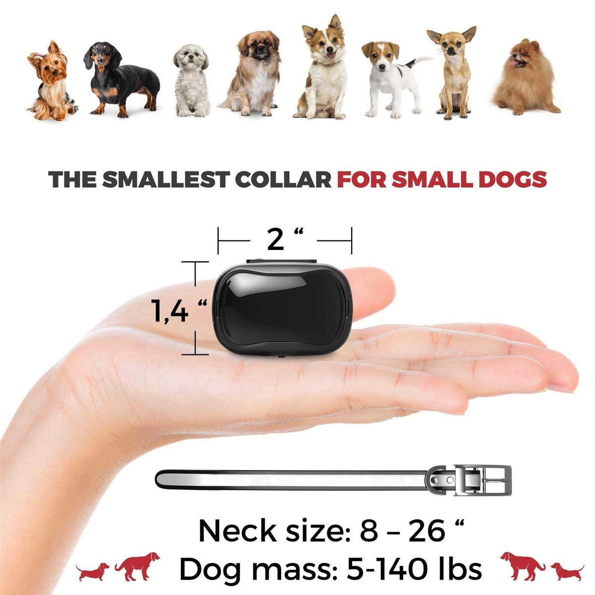 Extra Small Dog Training Collar with Remote R310