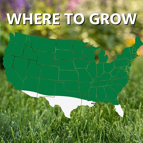 3 lb Perennial Ryegrass Grass Seed M1231
