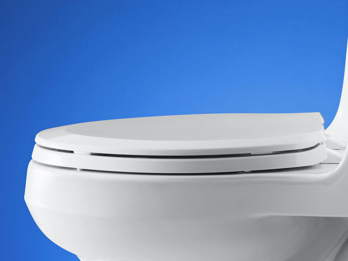 Elongated Toilet Seat with Quick-Release Hinges Sunlight Y806136