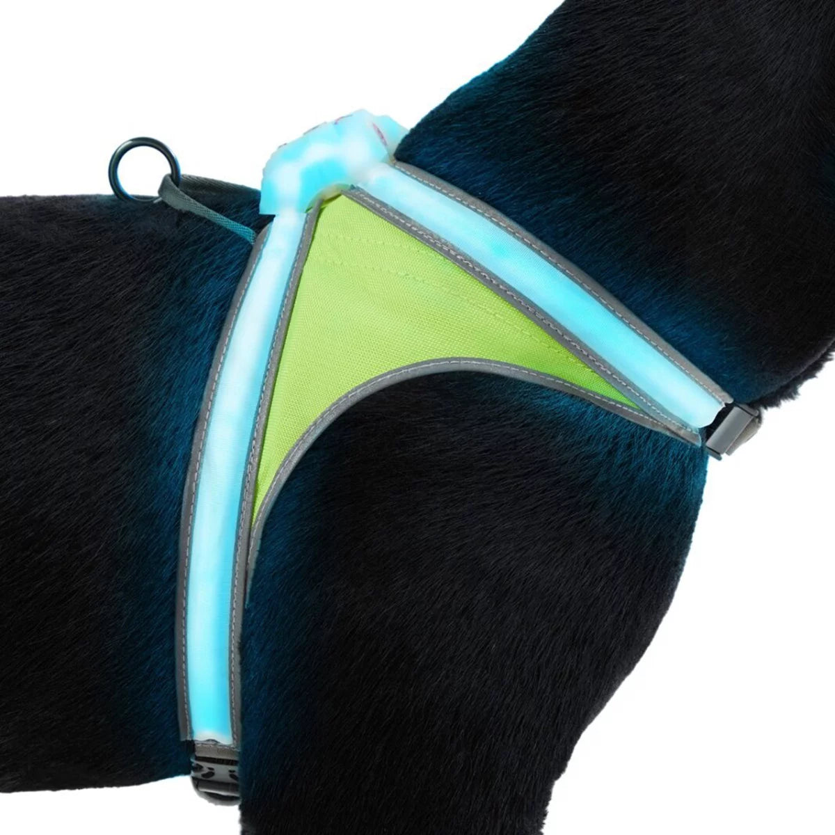 Multicolor Reflective LED Dog Harness N6863