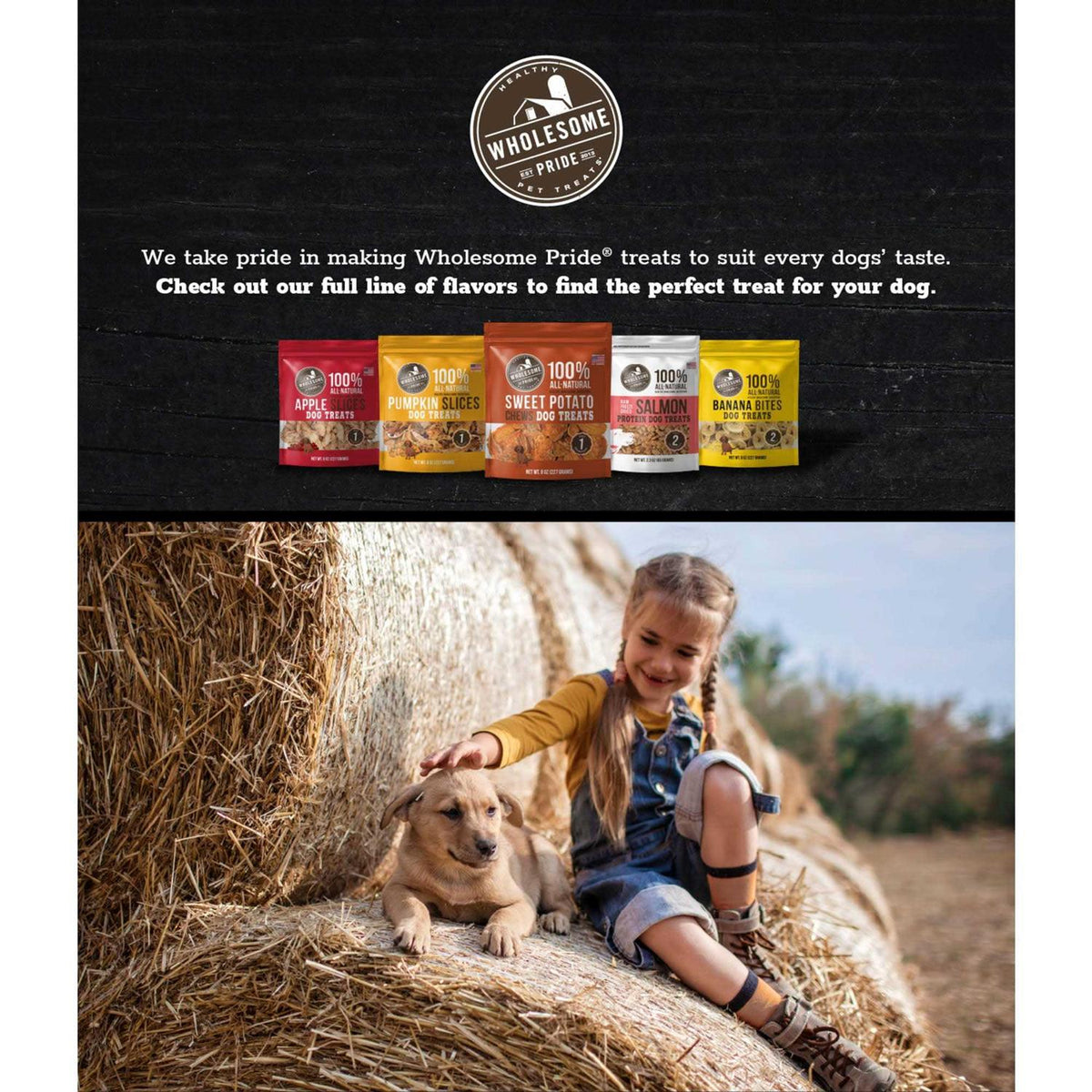 Apple Slices Dog Treats H880829
