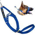 Padded Dog Training Head Collar A188698