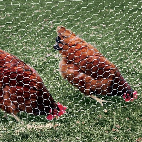 2 Inch Mesh 24 Inch X 150 Foot 20 Gauge Galvanized Steel Wire Fence C8284