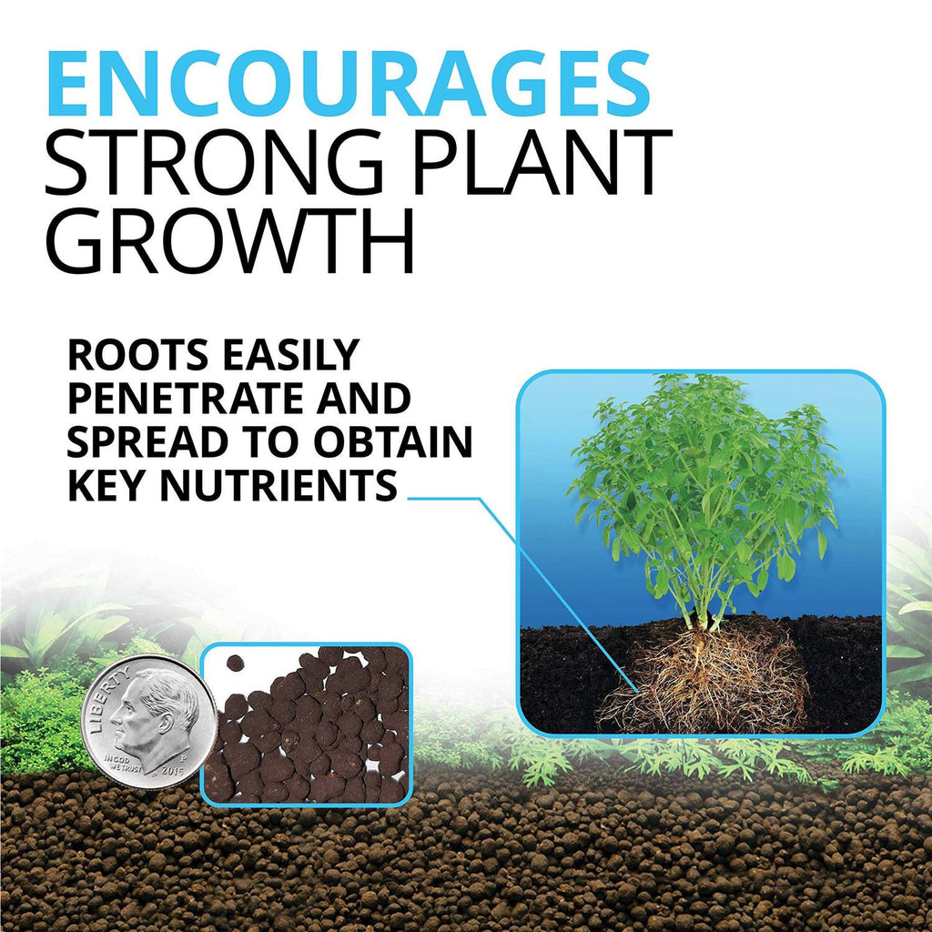 Plant and Shrimp Stratum Z3453