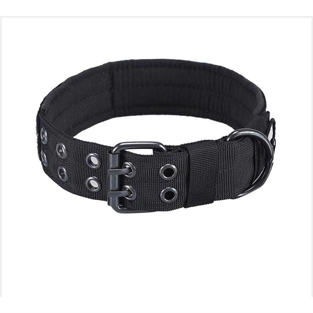 Adjustable Dog Collar with Metal D Ring Buckle B773