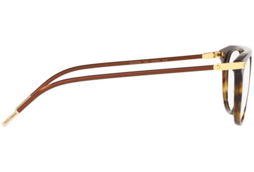 Havana Sunglasses W2613