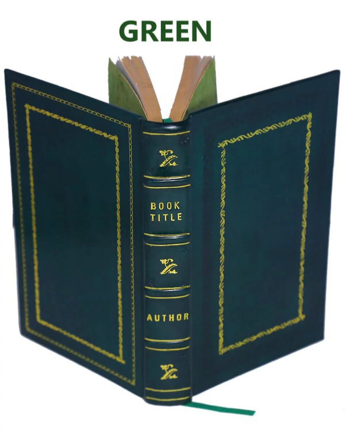 Genealogy of the Doty-Doten Family in America Volume 2 Leather Bound N2065