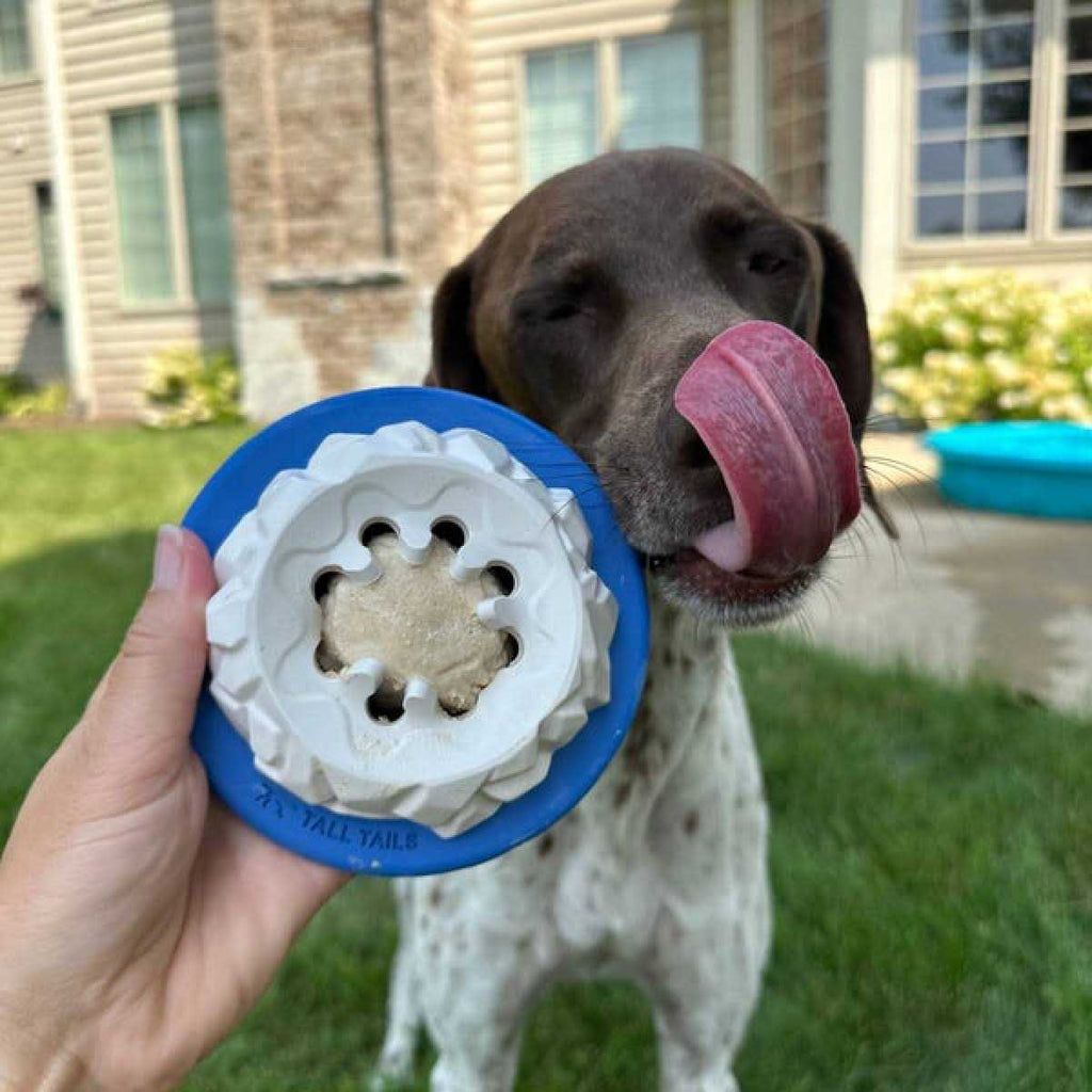 Natural Rubber Freezable Dog Toy K52040