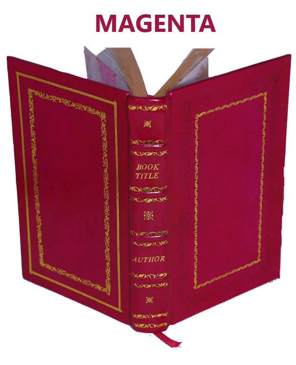 Genealogy of the Doty-Doten Family in America Volume 2 Leather Bound N2065