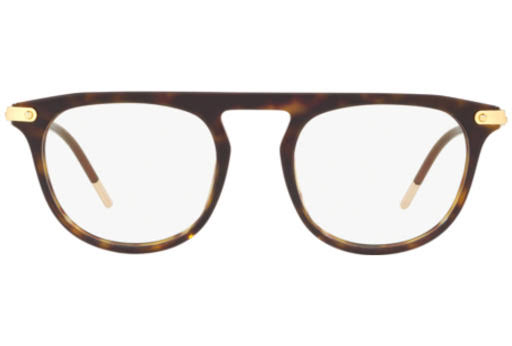 Havana Sunglasses W2613