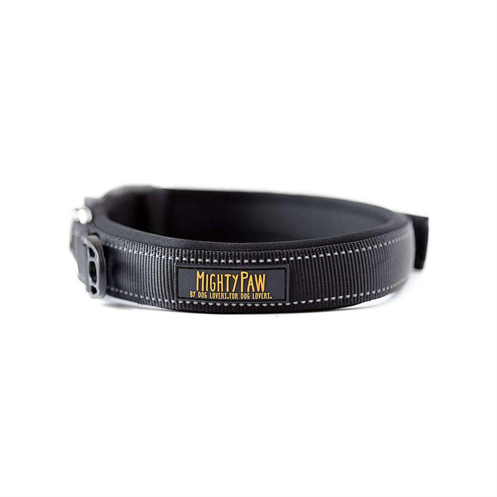 Dog Collar D1193