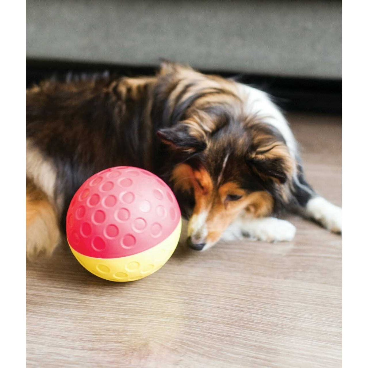 Treat Tumble Dog Toy O1297