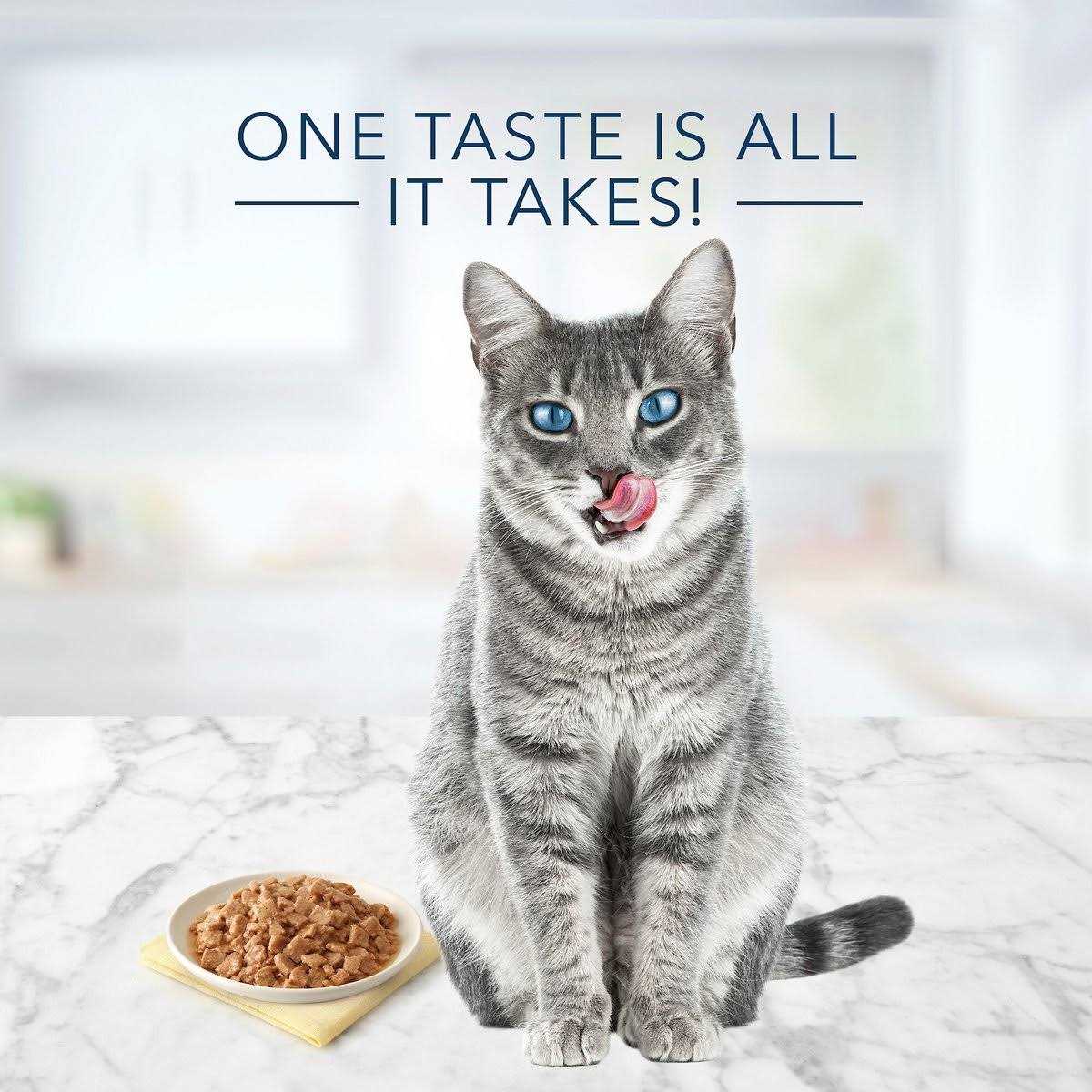 Tuna Chicken Fish & Shrimp Flaked Wet Cat Food P638161