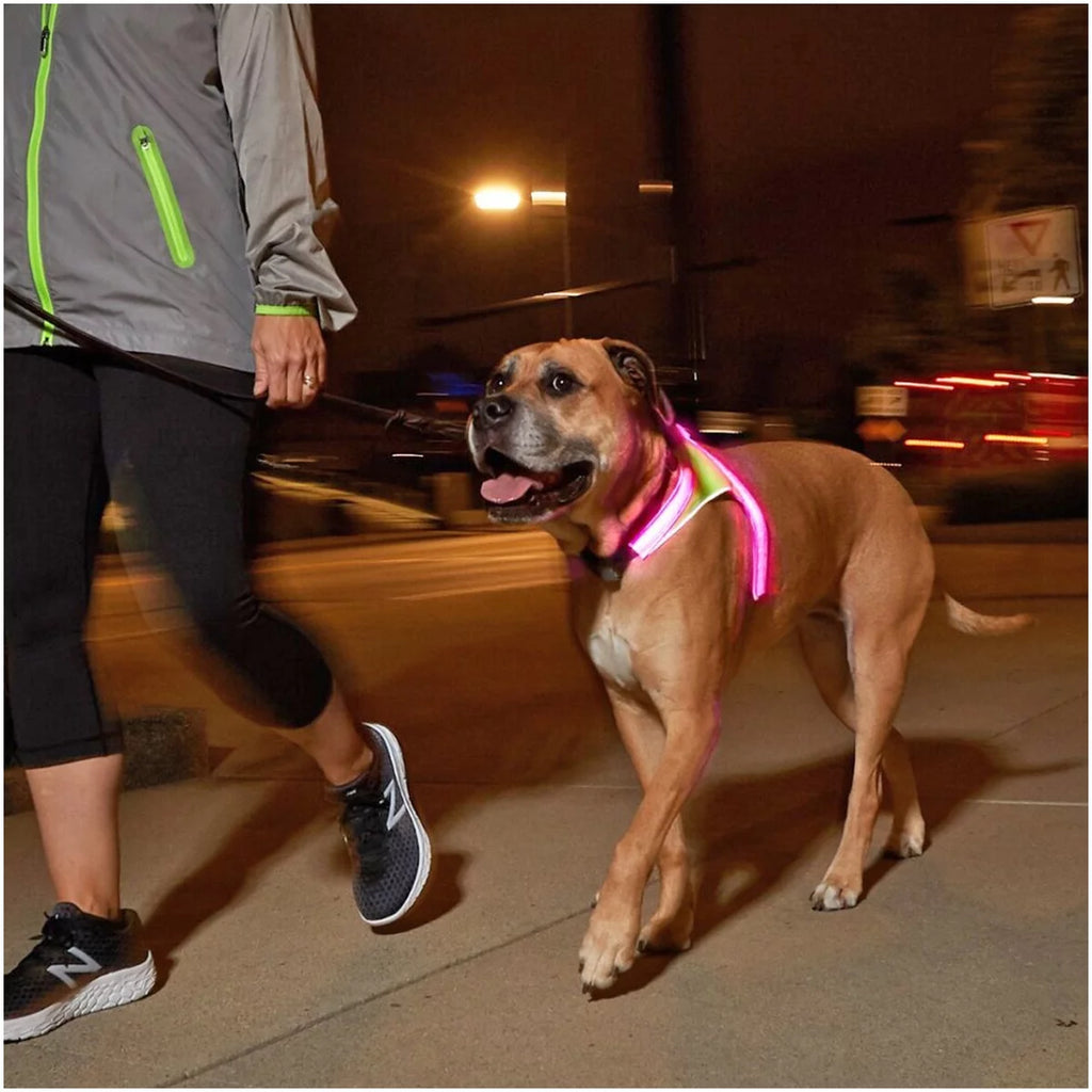 Multicolor Reflective LED Dog Harness N6863