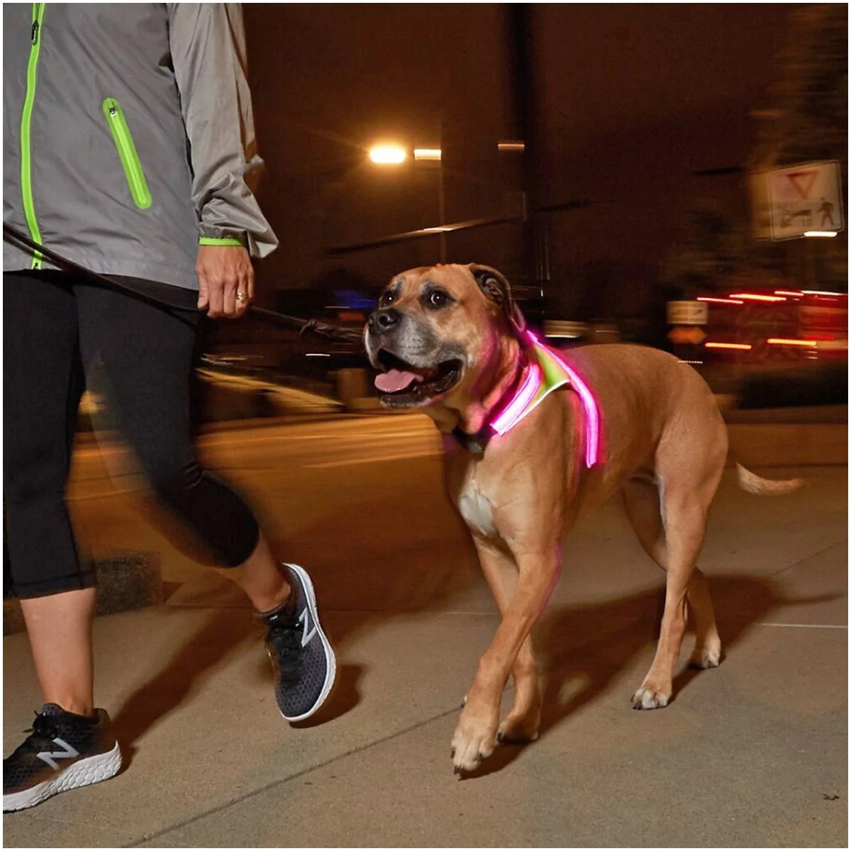 Multicolor Reflective LED Dog Harness N6863