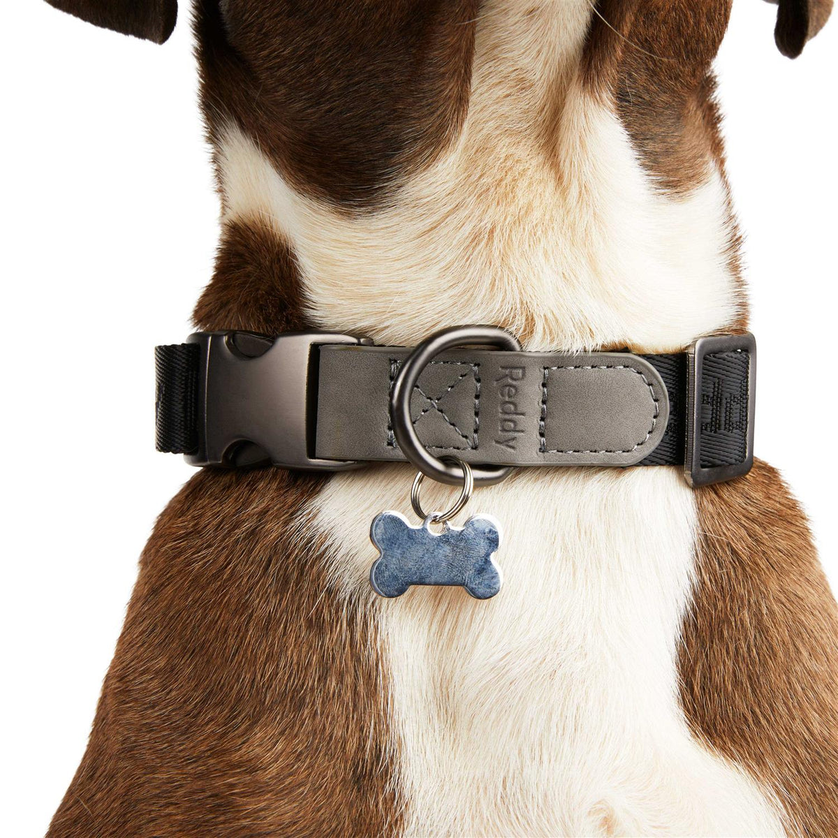 Dog Collar N69327