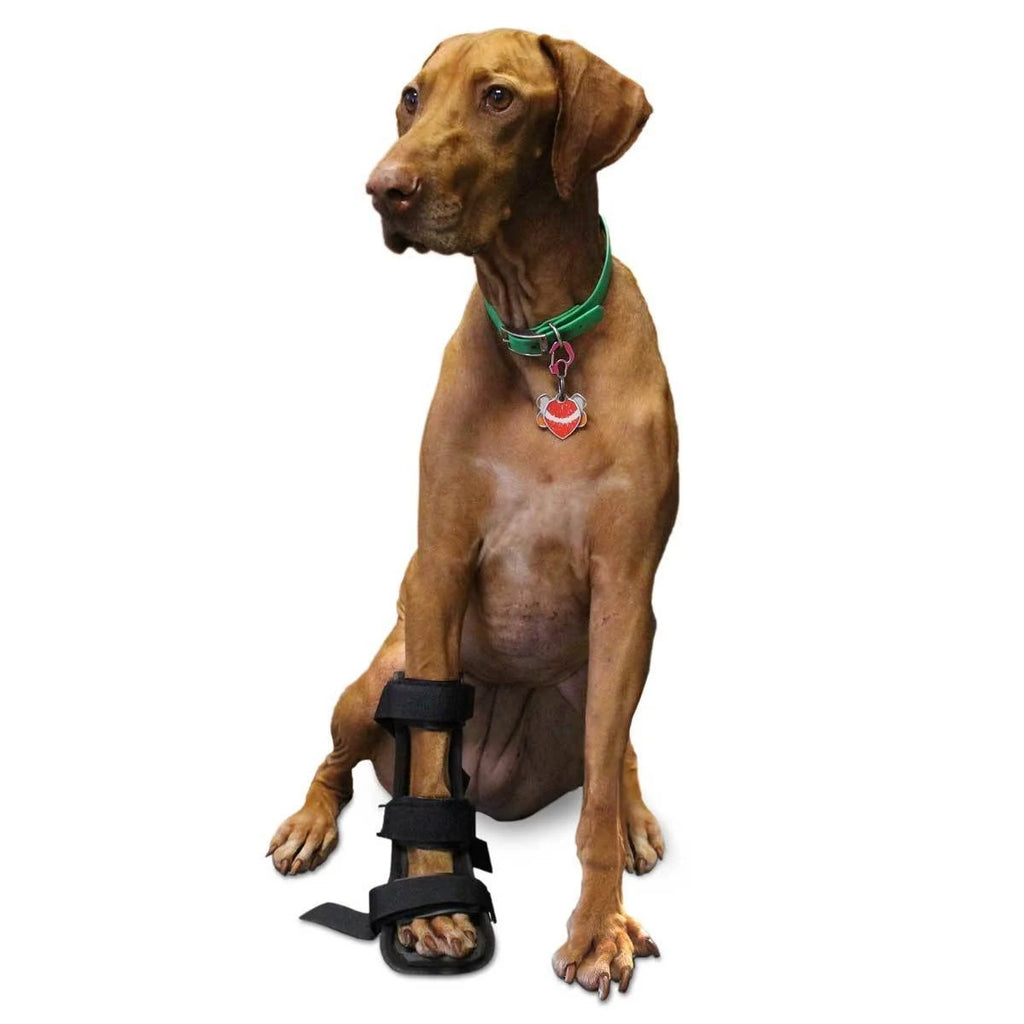 Dog Front Leg Splint with Foam Inserts J456
