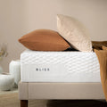 Queen Memory Foam Mattress Q383