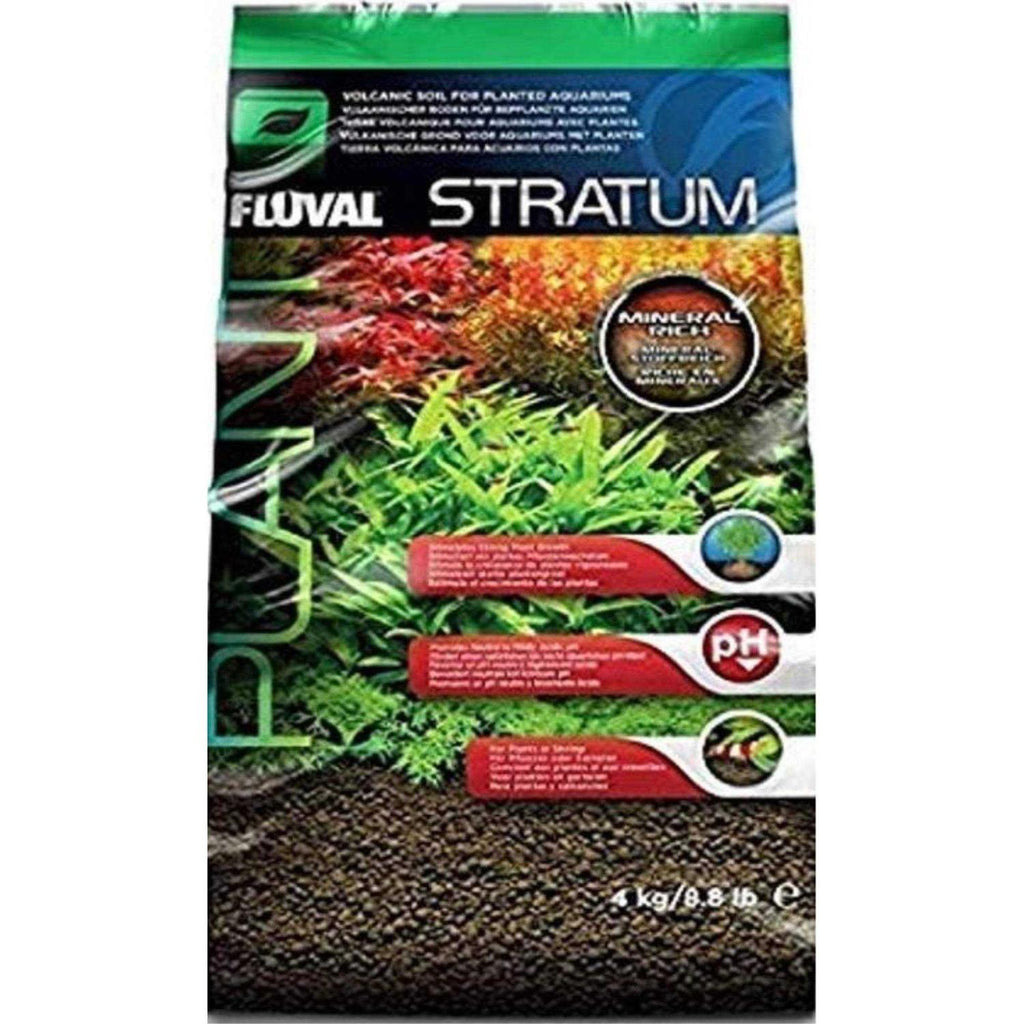 Plant and Shrimp Stratum Z3453
