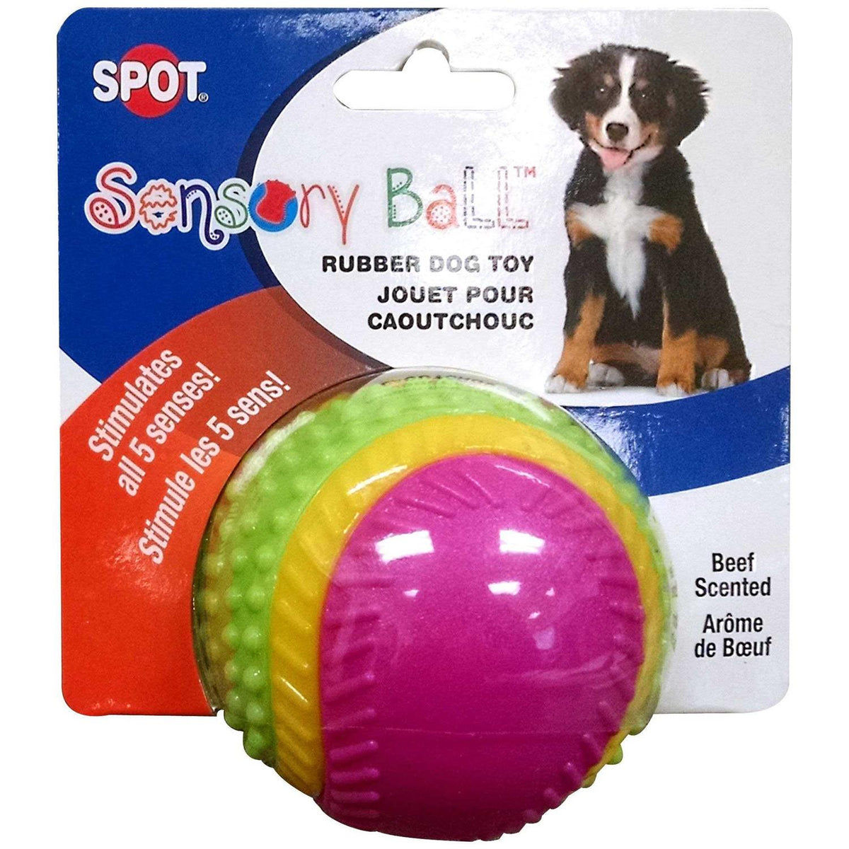 Sensory Ball Dog Toy U972