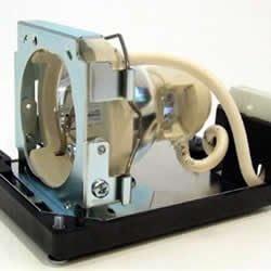 Replacement Lamp & Housing Projector Tv Lamp Bulb O194690