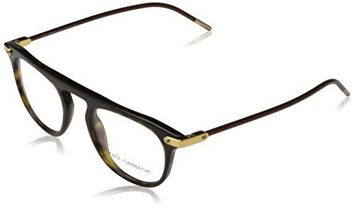 Havana Sunglasses W2613