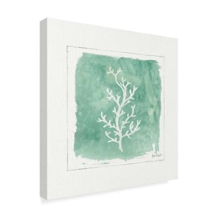 Canvas C86293